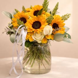 Sunny Bloom