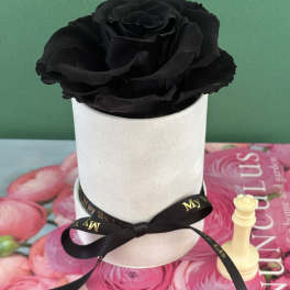 D Bowie. (PRESERVED ROSE)