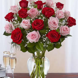 Volcano of roses