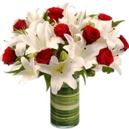 FIRE AND ICE ARRANGEMENT