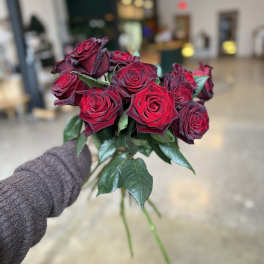 Black Baccara Roses in a Vase