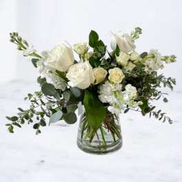 Alluring Elegance