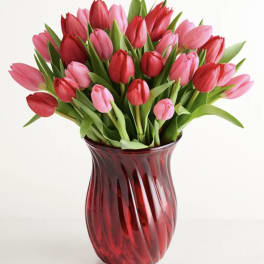 Bouquet of pink and red tulips in a red glass vase