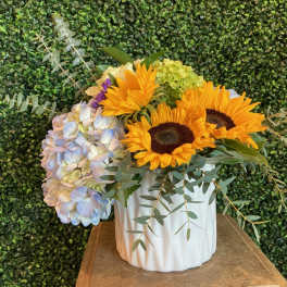 Sunflowers and pale hydrangeas arranged in a white vase