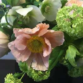 Bouquet of pale pink and white flowers with bright green blooms