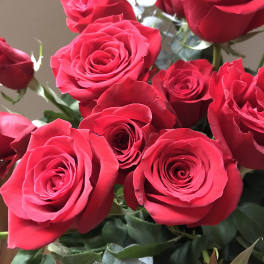 Red Roses