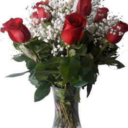 12 Loved Roses 