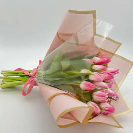 Bouquet of pink tulips wrapped in pink paper with clear plastic