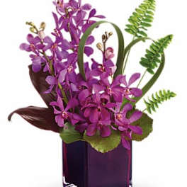 Purple orchid arrangement in a square glass vase