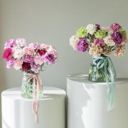 Two bouquets of carnations in glass vases with ribbon ties