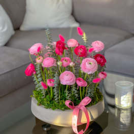 Pink ranunculus arrangement in a round white container with a ribbon