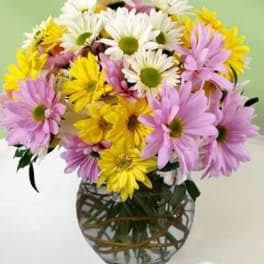 Bouquet of white, yellow, and lavender daisies in a glass vase