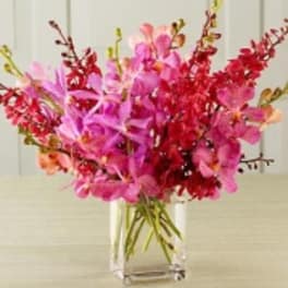 Pink and red orchid arrangement in a clear glass vase