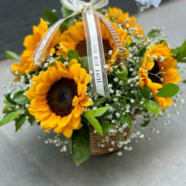 Basket of yellow sunflowers with baby's breath and a ribbon