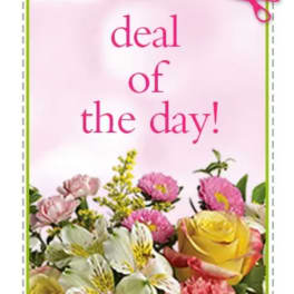 Pink greeting card with flowers and the words "deal of the day!"