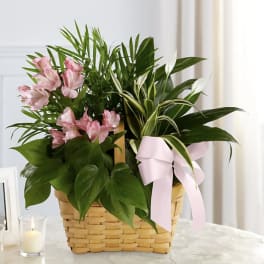 Pink flowers and green plants in a woven basket with a pink ribbon
