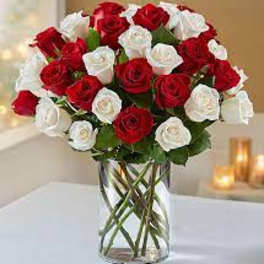 Bouquet of red and white roses in a clear glass vase