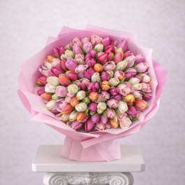 Bouquet of pink and white tulips wrapped in pink paper