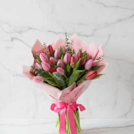 Happiness of Tulips
