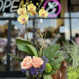 Orchid and rose arrangement in a black vase