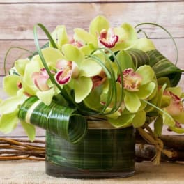 Green orchid arrangement in a glass vase with curled leaf accents