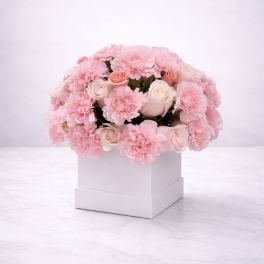 Pink carnations and pale roses arranged in a white box