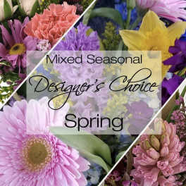 Spring Designer's Choice