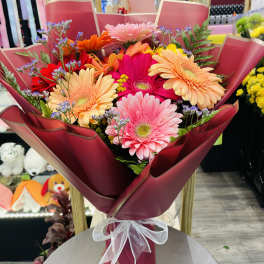 Bouquet of colorful gerbera daisies wrapped in burgundy paper