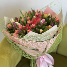 Bouquet of multicolored tulips wrapped in pink and green paper