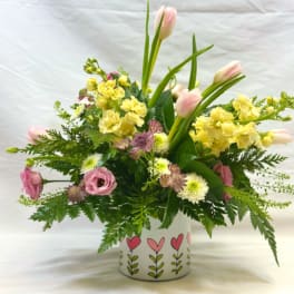 Soft Spring