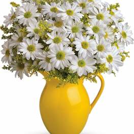 White daisy bouquet in a yellow pitcher vase