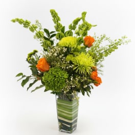 Citrus Garden Luxe