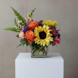 Sunflower and orange rose arrangement in a square glass vase