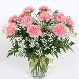 Dozen Assorted Carnations
