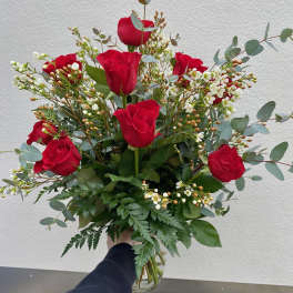 Red Dozen 