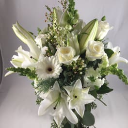  Rhapsody in White