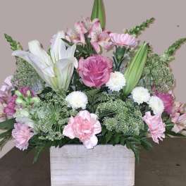 Blushing Blooms