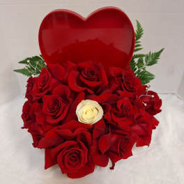 Heartfelt Beauty