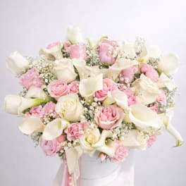 Calla Lily Love