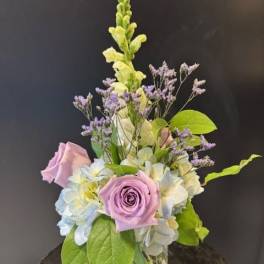 #A087 - Pastel Passion