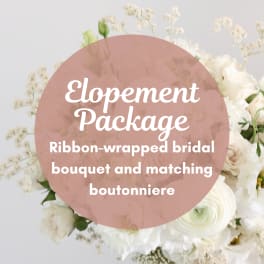 Elopement Package