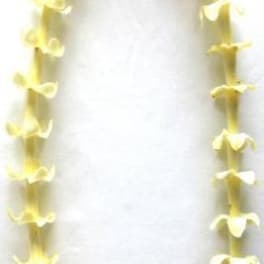 Single Puakenikeni Lei
