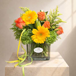 Citrus Splash by BloomNation™
