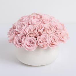 Large Pink Preserved Roses - Lasts a full year