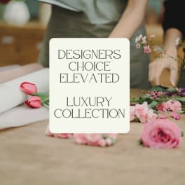 Designers Choice, Elevated Luxury Collection