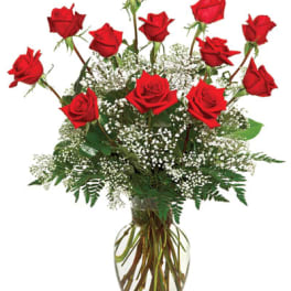 CLASSIC DOZEN ROSES RED ROSE by Citywide Florist Nyc