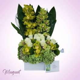 Emerald Elegance: Green Cymbidium Orchid Arrangement