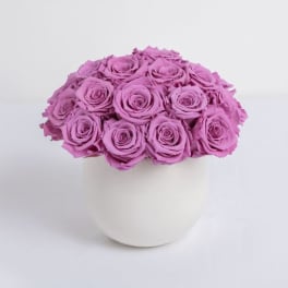 Lavender Preserved Roses - Lasts a full year