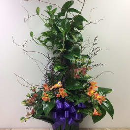 Pothos Pole, decorated