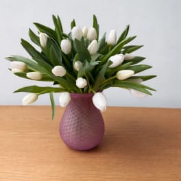 White Tulip Garden 